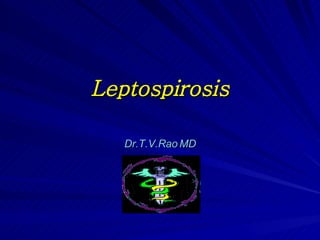 Leptospirosis
Leptospirosis
Dr.T.V.Rao MD
Dr.T.V.Rao MD
 