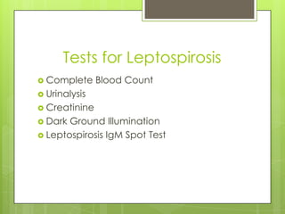 Tests for Leptospirosis
 Complete Blood Count
 Urinalysis
 Creatinine
 Dark Ground Illumination
 Leptospirosis IgM Spot Test
 