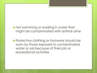  not swimming or wading in water that
might be contaminated with animal urine
 Protective clothing or footwear should be
worn by those exposed to contaminated
water or soil because of their job or
recreational activities
 