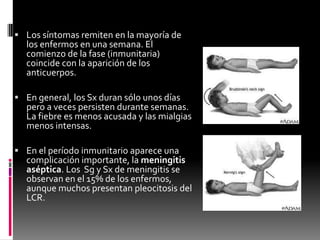  Los síntomas remiten en la mayoría de

los enfermos en una semana. El
comienzo de la fase (inmunitaria)
coincide con la aparición de los
anticuerpos.

 En general, los Sx duran sólo unos días

pero a veces persisten durante semanas.
La fiebre es menos acusada y las mialgias
menos intensas.

 En el período inmunitario aparece una

complicación importante, la meningitis
aséptica. Los Sg y Sx de meningitis se
observan en el 15% de los enfermos,
aunque muchos presentan pleocitosis del
LCR.

 