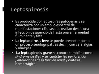 Leptospirosis
 Es producida por leptospiras patógenas y se
caracteriza por un amplio espectro de
manifestaciones clínicas que oscilan desde una

infección desapercibida hasta una enfermedad
fulminante y fatal.
 La leptospirosis leve se puede presentar como
un proceso seudogripal , es decir , con cefalalgias
y mialgias.
 La leptospirosis grave se conoce también como
síndrome de Weil y se carácter iza por ictericia
, alteraciones de la función renal y diátesis
hemorrágica.

 