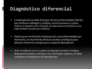 Diagnóstico diferencial
 La leptospirosis se debe distinguir de otras enfermedades febriles

que conllevan cefalalgia y mialgias, como el paludismo, la fiebre
entérica, la hepatitis vírica, el dengue, las infecciones por Hantavirus y las
enfermedades causadas por rickettsias.

 Dada la gran similitud de la leptospirosis y las enfermedades por

Hantavirus, se recomienda efectuar pruebas serológicas para
detectar Hantavirus siempre que se sospeche leptospirosis.
 Ante un enfermo con un cuadro seudogripal aunado a mialgias

desproporcionadas e intensas o con meningitis aséptica, se debe
considerar el diagnóstico de leptospirosis.

 