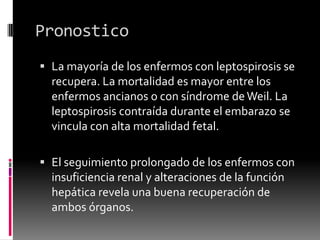 Pronostico
 La mayoría de los enfermos con leptospirosis se
recupera. La mortalidad es mayor entre los

enfermos ancianos o con síndrome de Weil. La
leptospirosis contraída durante el embarazo se
vincula con alta mortalidad fetal.
 El seguimiento prolongado de los enfermos con
insuficiencia renal y alteraciones de la función
hepática revela una buena recuperación de
ambos órganos.

 