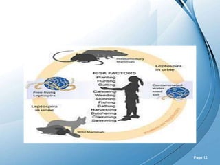 Powerpoint Templates
Page 12
 