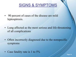 Powerpoint Templates
Page 14
SIGNS & SYMPTOMS
• 90 percent of cases of the disease are mild
leptospirosis.
• Lung affected as the most serious and life-threatening
of all complications
• Often incorrectly diagnosed due to the nonspecific
symptoms
• Case fatality rate is 1 to 5%
 