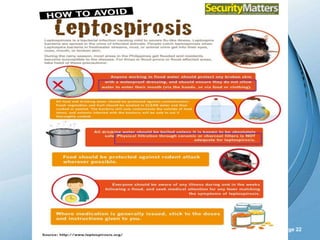 Powerpoint Templates
Page 22
 