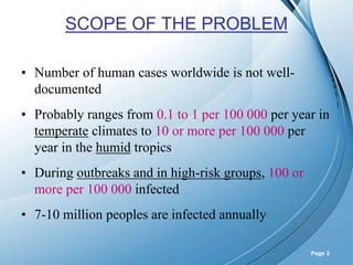 Powerpoint Templates
Page 3
SCOPE OF THE PROBLEM
• Number of human cases worldwide is not well-
documented
• Probably ranges from 0.1 to 1 per 100 000 per year in
temperate climates to 10 or more per 100 000 per
year in the humid tropics
• During outbreaks and in high-risk groups, 100 or
more per 100 000 infected
• 7-10 million peoples are infected annually
 
