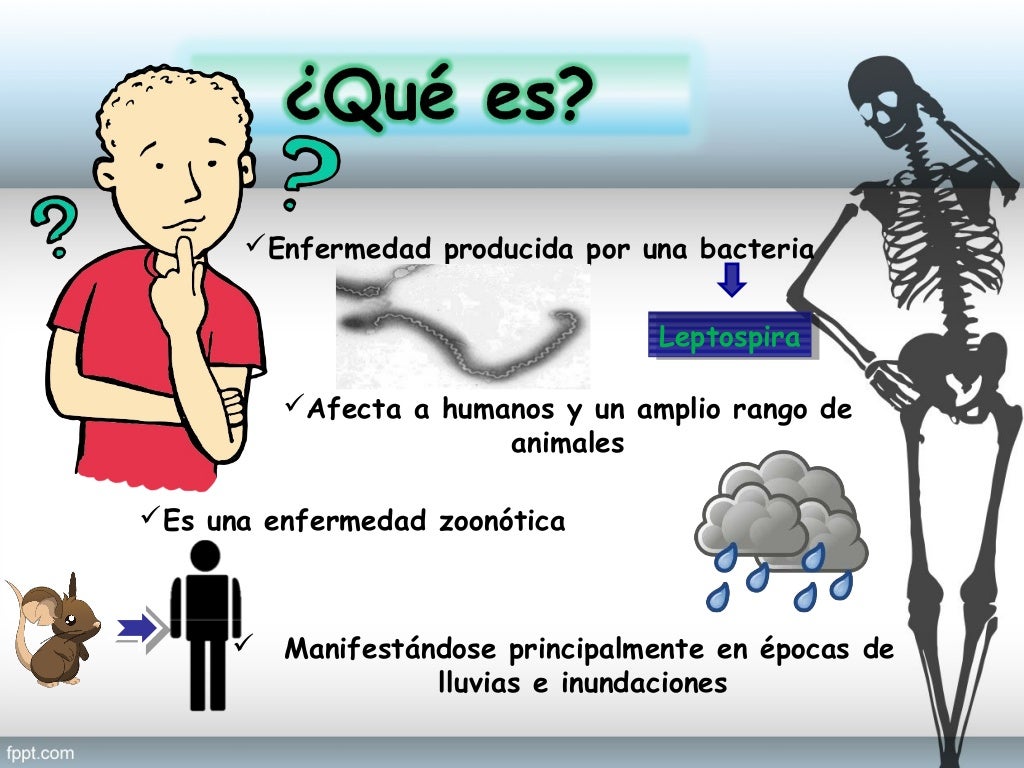 Leptospirosis