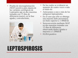 LEPTOSPIROSIS
• Prueba de microaglutinación
(MAT) positiva para alguna de
las variantes serológicas de
Leptospira spp en dos muestras
tomadas con 15 días de
diferencia (suero), en la fase
aguda y convaleciente,
• En las cuales se evidencie un
aumento de cuatro veces o más
el título de:
• Anticuerpos a uno o más de los
antígenos leptospirales.
• En el caso que sólo se obtenga
una muestra debe presentarse
un título superior a 1:400dl/dl.
• Seroconversión mediante MAT
en dos muestras tomadas con
15 días de diferencia,
observando títulos iguales o
mayores a 1:200dl/dl.
• ELISA positivo
 