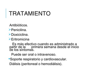 TRATAMIENTO
Antibióticos.
Penicilina.
Doxiciclina.
Eritromicina
Es más efectivo cuando es administrado a
partir de la primera semana desde el inicio
de los síntomas.
Puede ser oral o intravenoso.
Soporte respiratorio y cardiovascular.
Diálisis (peritoneal o hemodiálisis).
 