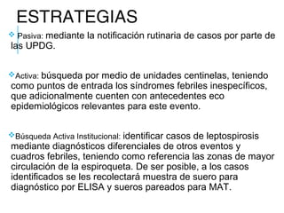 ESTRATEGIAS
 Pasiva: mediante la notificación rutinaria de casos por parte de
las UPDG.
Activa: búsqueda por medio de unidades centinelas, teniendo
como puntos de entrada los síndromes febriles inespecíficos,
que adicionalmente cuenten con antecedentes eco
epidemiológicos relevantes para este evento.
Búsqueda Activa Institucional: identificar casos de leptospirosis
mediante diagnósticos diferenciales de otros eventos y
cuadros febriles, teniendo como referencia las zonas de mayor
circulación de la espiroqueta. De ser posible, a los casos
identificados se les recolectará muestra de suero para
diagnóstico por ELISA y sueros pareados para MAT.
 