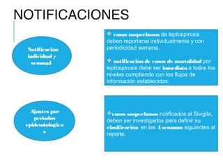 NOTIFICACIONES
Notificación
individual y
semanal
Ajustes por
periodos
epidemiológico
s
 casos sospechosos de leptospirosis
deben reportarse individualmente y con
periodicidad semana.
 notificación de casos de mortalidad por
leptospirosis debe ser inmediata a todos los
niveles cumpliendo con los flujos de
información establecidos.
casos sospechosos notificados al Sivigila,
deben ser investigados para definir su
clasificación en las 4 semanas siguientes al
reporte.
 