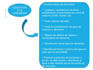 Espacios libres de escombros
 Limpieza y desinfección de áreas
posiblemente contaminadas con orina de
roedores (suelo, techos, etc)
 Evitar caminar descalzo
 Evitar la contaminación de agua de
consumo y alimentos
 Mejorar los hábitos de higiene y
manipulación de alimentos
 Desinfección de las latas de alimentos.
desinfección física o química del agua en
caso que no sea potable
Posterior a períodos de inundación o
lluvias, se debe limpiar y desinfectar el
agua o lodo residual que se encuentre en
las viviendas.
EDUCACIÓN
A LA
COMUNIDAD
 