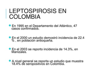 LEPTOSPIROSIS EN
COLOMBIA
En 1995 en el Departamento del Atlántico, 47
casos confirmados.
En el 2000 un estudio demostró incidencia de 22.4
% , en población antioqueña.
En el 2003 se reporto incidencia de 14.3%, en
Manizales.
A nivel general se reporta un estudio que muestra
18.4% de seropositivos en Colombia.
 