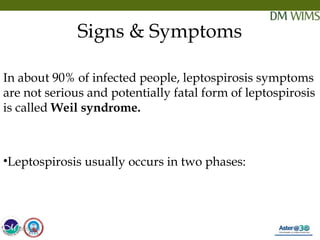 Leptospirosis | PPT