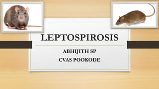 LEPTOSPIROSIS
ABHIJITH SP
CVAS POOKODE
 
