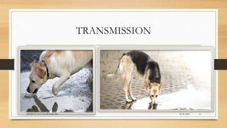 TRANSMISSION
24-09-2020ABHIJITH SP CVAS POOKODE 11
 