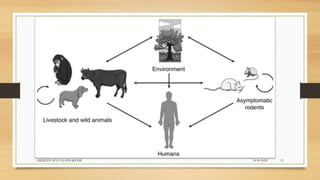 24-09-2020ABHIJITH SP CVAS POOKODE 13
 