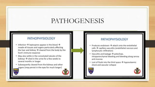 PATHOGENESIS
24-09-2020ABHIJITH SP CVAS POOKODE 14
 