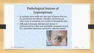 24-09-2020ABHIJITH SP CVAS POOKODE 15
 