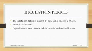 INCUBATION PERIOD
• The incubation period is usually 5-14 days, with a range of 2-30 days.
• Animals also the same .
• Depends on the strain, serovar and the bacterial load and health status.
24-09-2020ABHIJITH SP CVAS POOKODE 16
 