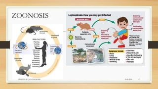 ZOONOSIS
24-09-2020ABHIJITH SP CVAS POOKODE 17
 