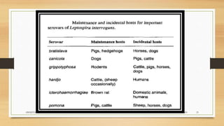24-09-2020ABHIJITH SP CVAS POOKODE 23
 