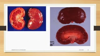 24-09-2020ABHIJITH SP CVAS POOKODE 29
 