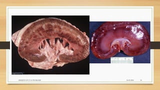 24-09-2020ABHIJITH SP CVAS POOKODE 30
 