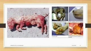 24-09-2020ABHIJITH SP CVAS POOKODE 32
 