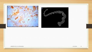 24-09-2020ABHIJITH SP CVAS POOKODE 35
 