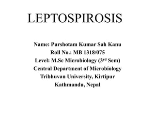 LEPTOSPIROSIS
Name: Purshotam Kumar Sah Kanu
Roll No.: MB 1318/075
Level: M.Sc Microbiology (3rd Sem)
Central Department of Microbiology
Tribhuvan University, Kirtipur
Kathmandu, Nepal
 