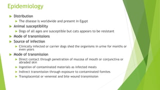 Epidemiology
 Distribution
 The disease is worldwide and present in Egypt
 Animal susceptibility
 Dogs of all ages are susceptible but cats appears to be resistant
 Mode of transmissions
 Source of infection
 Clinically infected or carrier dogs shed the organisms in urine for months or
even years
 Mode of transmission
 Direct contact through penetration of mucosa of mouth or conjunctiva or
abraded skin
 Ingestion of contaminated materials as infected meats
 Indirect transmission through exposure to contaminated fomites
 Transplacental or venereal and bite wound transmission
 
