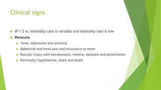 Clinical signs
 IP 1-2 w, morbidity rate is variable and mortality rate is low
 Peracute
 fever, depression and anorexia
 Abdominal and renal pain and reluctance to move
 Vascular injury with hematemesis, melena, epistaxis and petechiation
 Terminally, hypothermia, shock and death
 