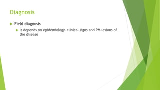 Diagnosis
 Field diagnosis
 It depends on epidemiology, clinical signs and PM lesions of
the disease
 