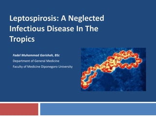 Leptospirosis: A Neglected
Infectious Disease In The
Tropics
Fadel Muhammad Garishah, BSc
Department of General Medicine
Faculty of Medicine Diponegoro University
 