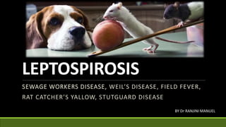 LEPTOSPIROSIS
SEWAGE WORKERS DISEASE, WEIL’S DISEASE, FIELD FEVER,
RAT CATCHER’S YALLOW, STUTGUARD DISEASE
BY Dr RANJINI MANUEL
 