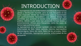 La leptospirosis es una enfermedad zoonótica de importancia
global y distribución mundial, pero es más frecuente en las
áreas tropicales dónde las condiciones para su transmisión
son particularmente favorables1. Los últimos brotes han
permitido que aumente el interés como problema de salud
pública, debido a que estos han producido formas letales y
presentaciones clínicas poco frecuentes, como los casos de
hemorragia pulmonar grave.
La leptospirosis se le conoce también con los nombres de
Enfermedad de Weil, fiebre canícola, ictericia espiroquética
(hemorrágica), fiebre del cieno, fiebre de los arrozales, fiebre
de los cañaverales, leptospirosis porcina, enfermedad de los
porqueros.
INTRODUCTION
 
