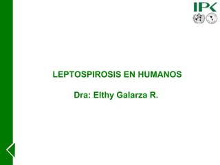 LEPTOSPIROSIS EN HUMANOS
Dra: Elthy Galarza R.
 