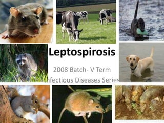 Leptospirosis
2008 Batch- V Term
Infectious Diseases Series
 