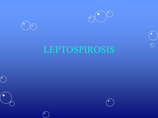 LEPTOSPIROSIS
 