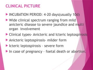 LEPTOSPIROSIS COMMUNITY MEDICINE EASY .pptx