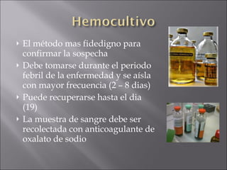 El método mas fidedigno para confirmar la sospecha Debe tomarse durante el periodo febril de la enfermedad y se aísla con mayor frecuencia (2 – 8 dias) Puede recuperarse hasta el dia (19) La muestra de sangre debe ser recolectada con anticoagulante de oxalato de sodio 
