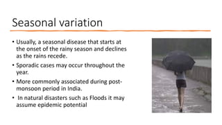 Seasonal variation
• Usually, a seasonal disease that starts at
the onset of the rainy season and declines
as the rains recede.
• Sporadic cases may occur throughout the
year.
• More commonly associated during post-
monsoon period in India.
• In natural disasters such as Floods it may
assume epidemic potential
 