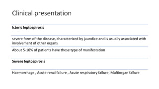 Clinical presentation
Icteric leptospirosis
severe form of the disease, characterized by jaundice and is usually associated with
involvement of other organs
About 5-10% of patients have these type of manifestation
Severe leptospirosis
Haemorrhage , Acute renal failure , Acute respiratory failure, Multiorgan failure
 