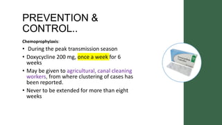 PREVENTION &
CONTROL..
Chemoprophylaxis:
• During the peak transmission season
• Doxycycline 200 mg, once a week for 6
weeks
• May be given to agricultural, canal cleaning
workers, from where clustering of cases has
been reported.
• Never to be extended for more than eight
weeks
 