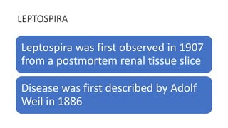 LEPTOSPIRA
Leptospira was first observed in 1907
from a postmortem renal tissue slice
Disease was first described by Adolf
Weil in 1886
 
