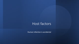 Host factors
Human infection is accidental
 