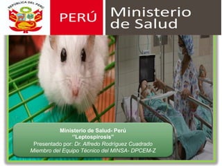Ministerio de Salud- Perú
‘’Leptospirosis’’
Presentado por: Dr. Alfredo Rodríguez Cuadrado
Miembro del Equipo Técnico del MINSA- DPCEM-Z
 