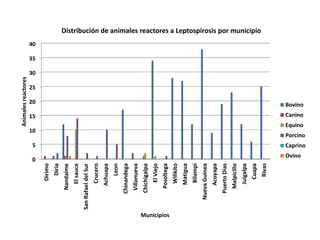 0
5
10
15
20
25
30
35
40 Dirimo
Diria
Nandaime
Elsauce
SanRafaeldelSur
Crucero
Achuapa
Leon
Chinandega
Villanueva
Chichigalpa
ElViejo
Posoltega
Wilikito
Matigua
Bilampi
NuevaGuinea
Acoyapa
PuertoDias
Malpicillo
Juigalpa
Cuapa
Rivas
Animalesreactores
Municipios
Distribución de animales reactores a Leptospirosis por municipio
Bovino
Canino
Equino
Porcino
Caprino
Ovino
 